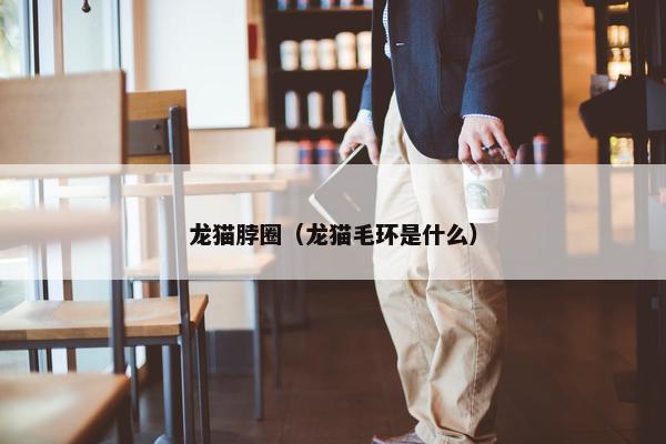 龙猫脖圈（龙猫毛环是什么）