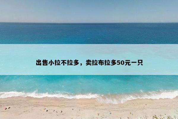 出售小拉不拉多，卖拉布拉多50元一只