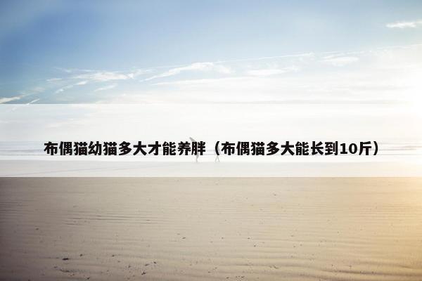 布偶猫幼猫多大才能养胖（布偶猫多大能长到10斤）