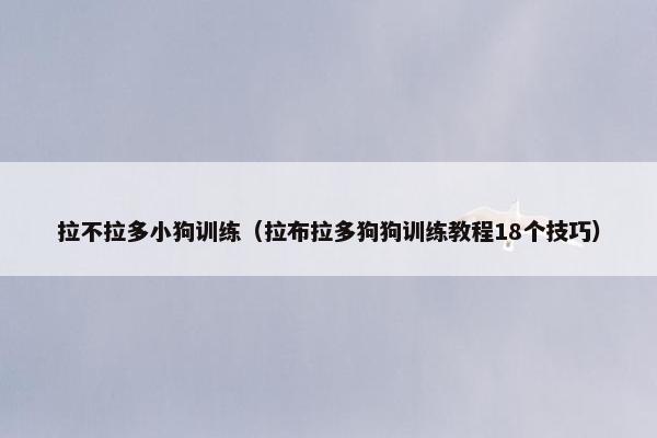 拉不拉多小狗训练（拉布拉多狗狗训练教程18个技巧）