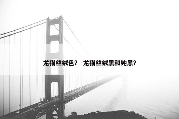 龙猫丝绒色？ 龙猫丝绒黑和纯黑？