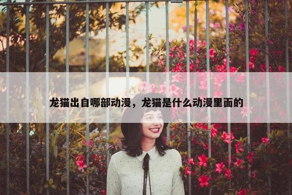 龙猫出自哪部动漫，龙猫是什么动漫里面的