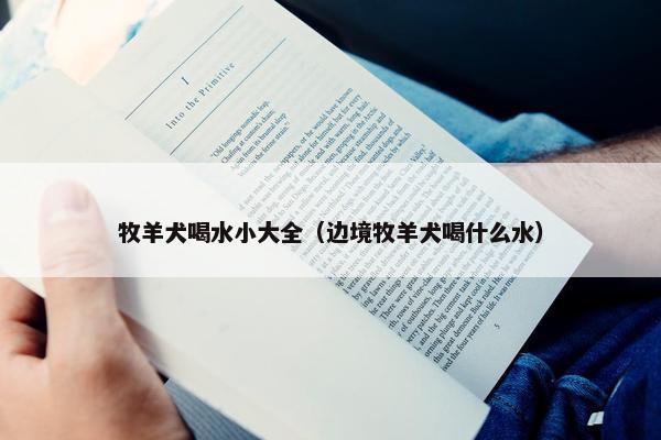 牧羊犬喝水小大全（边境牧羊犬喝什么水）