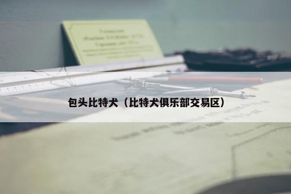 包头比特犬（比特犬俱乐部交易区）