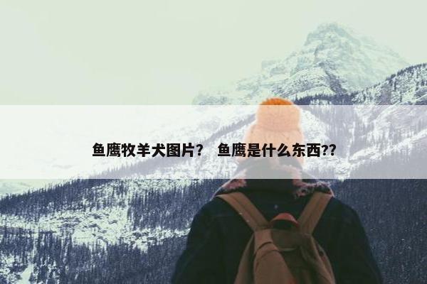 鱼鹰牧羊犬图片？ 鱼鹰是什么东西?？