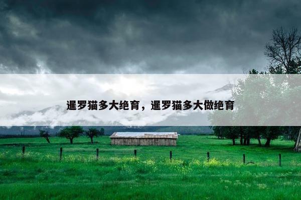 暹罗猫多大绝育，暹罗猫多大做绝育
