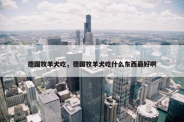 德国牧羊犬吃，德国牧羊犬吃什么东西最好啊