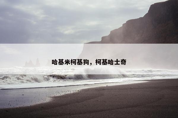 哈基米柯基狗，柯基哈士奇