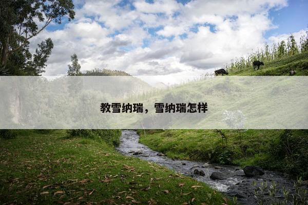 教雪纳瑞，雪纳瑞怎样
