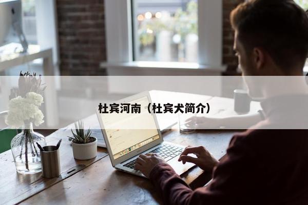 杜宾河南（杜宾犬简介）