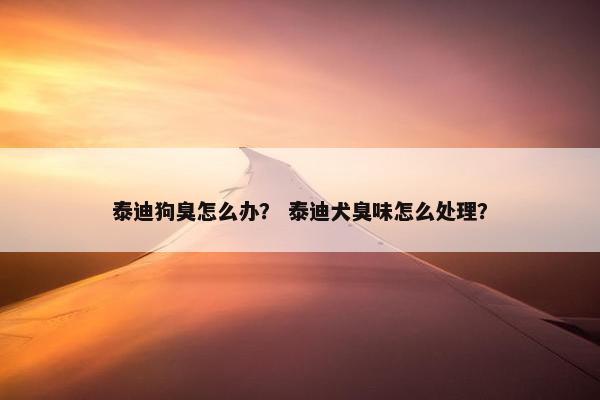 泰迪狗臭怎么办？ 泰迪犬臭味怎么处理？