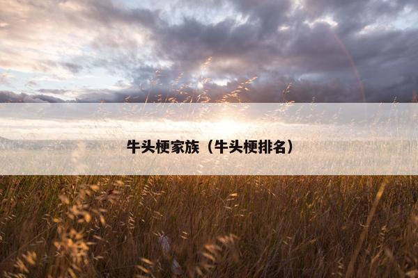 牛头梗家族（牛头梗排名）
