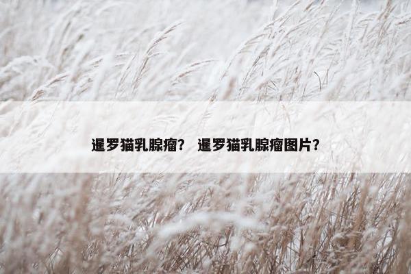 暹罗猫乳腺瘤？ 暹罗猫乳腺瘤图片？