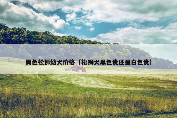 黑色松狮幼犬价格（松狮犬黑色贵还是白色贵）