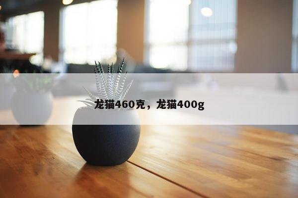 龙猫460克，龙猫400g