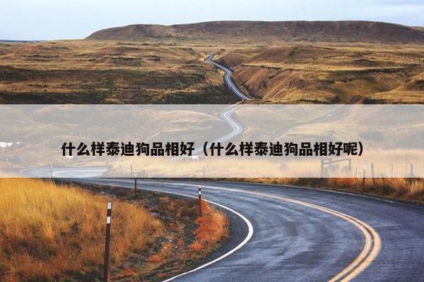 什么样泰迪狗品相好（什么样泰迪狗品相好呢）