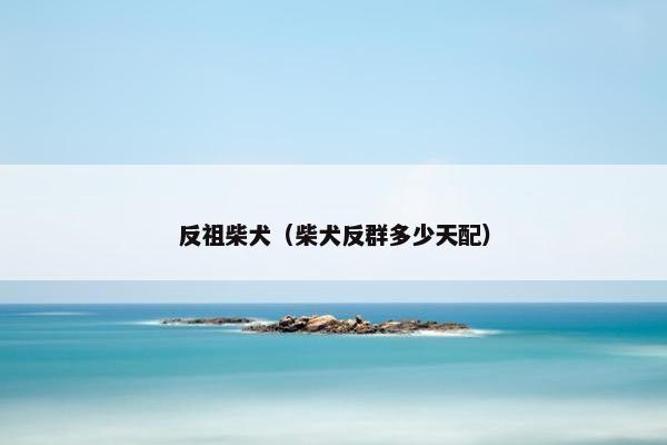 反祖柴犬（柴犬反群多少天配）