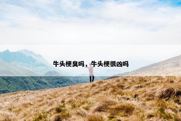 牛头梗臭吗，牛头梗很凶吗