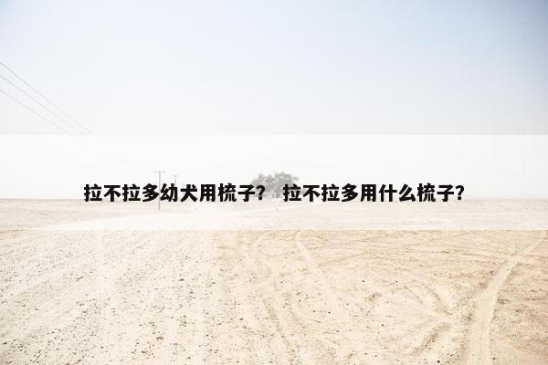 拉不拉多幼犬用梳子？ 拉不拉多用什么梳子？