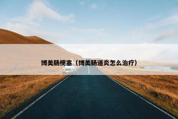 博美肠梗塞（博美肠道炎怎么治疗）