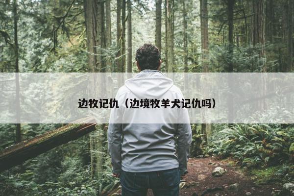 边牧记仇（边境牧羊犬记仇吗）