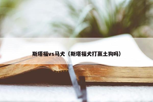 斯塔福vs马犬（斯塔福犬打赢土狗吗）