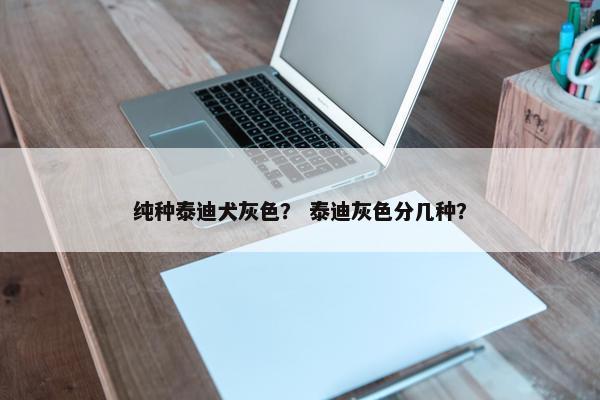 纯种泰迪犬灰色？ 泰迪灰色分几种？