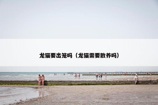 龙猫要出笼吗（龙猫需要散养吗）