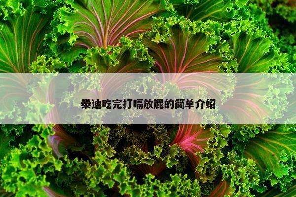 泰迪吃完打嗝放屁的简单介绍