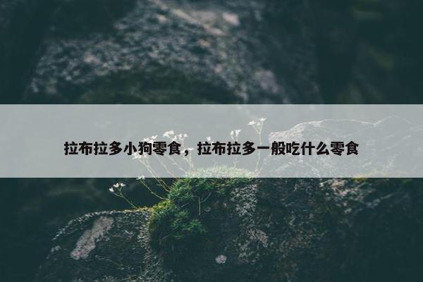 拉布拉多小狗零食，拉布拉多一般吃什么零食