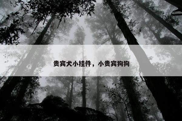 贵宾犬小挂件，小贵宾狗狗
