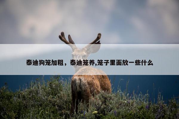 泰迪狗笼加粗，泰迪笼养,笼子里面放一些什么
