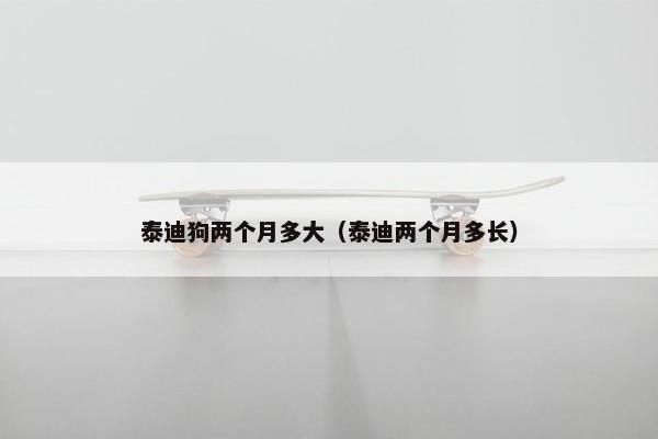 泰迪狗两个月多大（泰迪两个月多长）