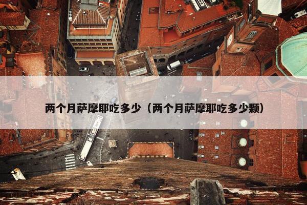 两个月萨摩耶吃多少（两个月萨摩耶吃多少颗）