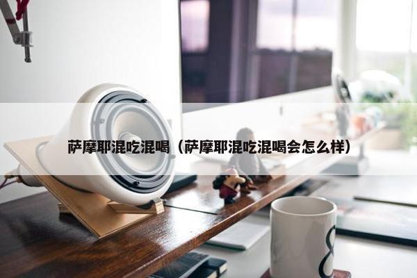 萨摩耶混吃混喝（萨摩耶混吃混喝会怎么样）