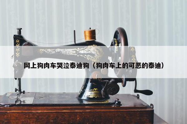 网上狗肉车哭泣泰迪狗（狗肉车上的可恶的泰迪）