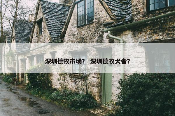 深圳德牧市场？ 深圳德牧犬舍？