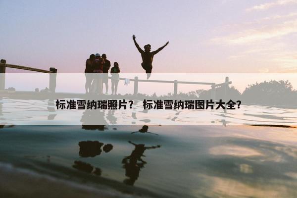 标准雪纳瑞照片？ 标准雪纳瑞图片大全？