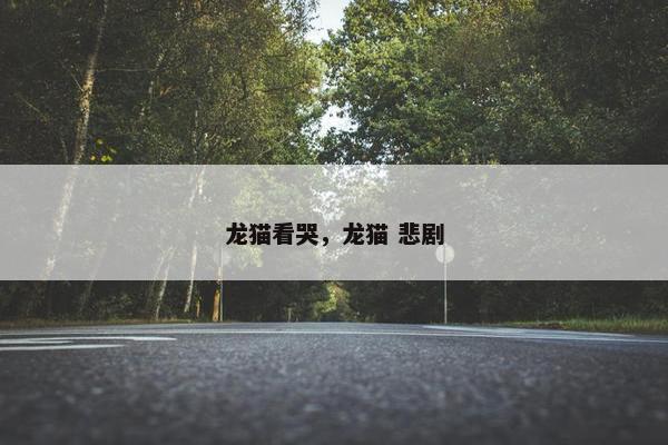 龙猫看哭，龙猫 悲剧
