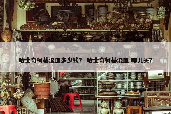 哈士奇柯基混血多少钱？ 哈士奇柯基混血 哪儿买？
