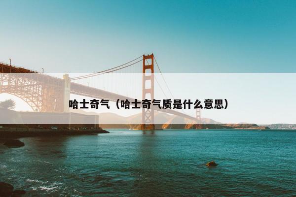 哈士奇气（哈士奇气质是什么意思）