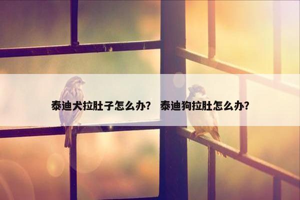 泰迪犬拉肚子怎么办？ 泰迪狗拉肚怎么办？
