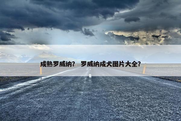 成熟罗威纳？ 罗威纳成犬图片大全？