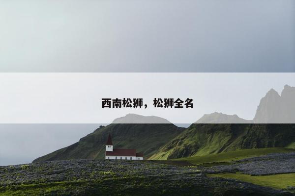 西南松狮，松狮全名