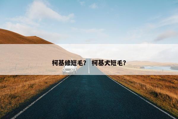 柯基修短毛？ 柯基犬短毛？