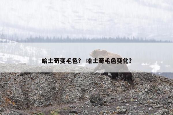哈士奇变毛色？ 哈士奇毛色变化？
