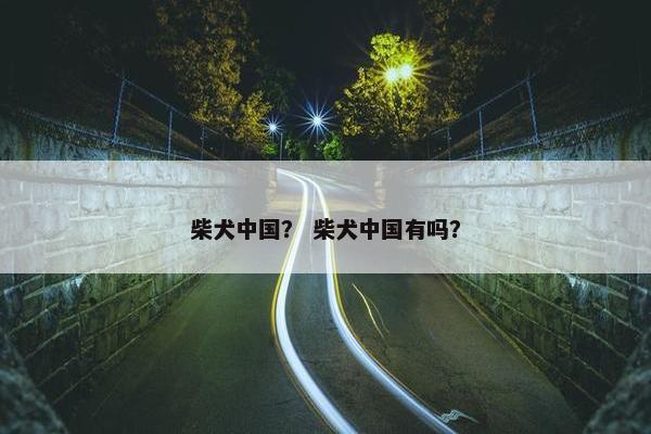柴犬中国？ 柴犬中国有吗？