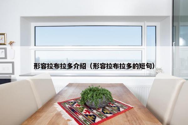 形容拉布拉多介绍（形容拉布拉多的短句）