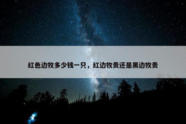 红色边牧多少钱一只，红边牧贵还是黑边牧贵