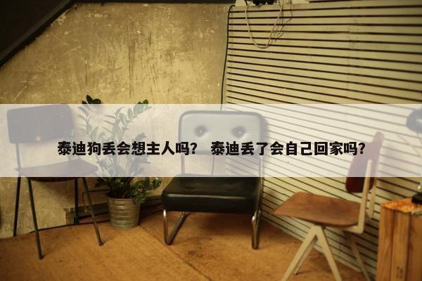 泰迪狗丢会想主人吗？ 泰迪丢了会自己回家吗？